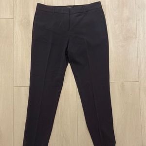 Aritzia Babaton Trousers
